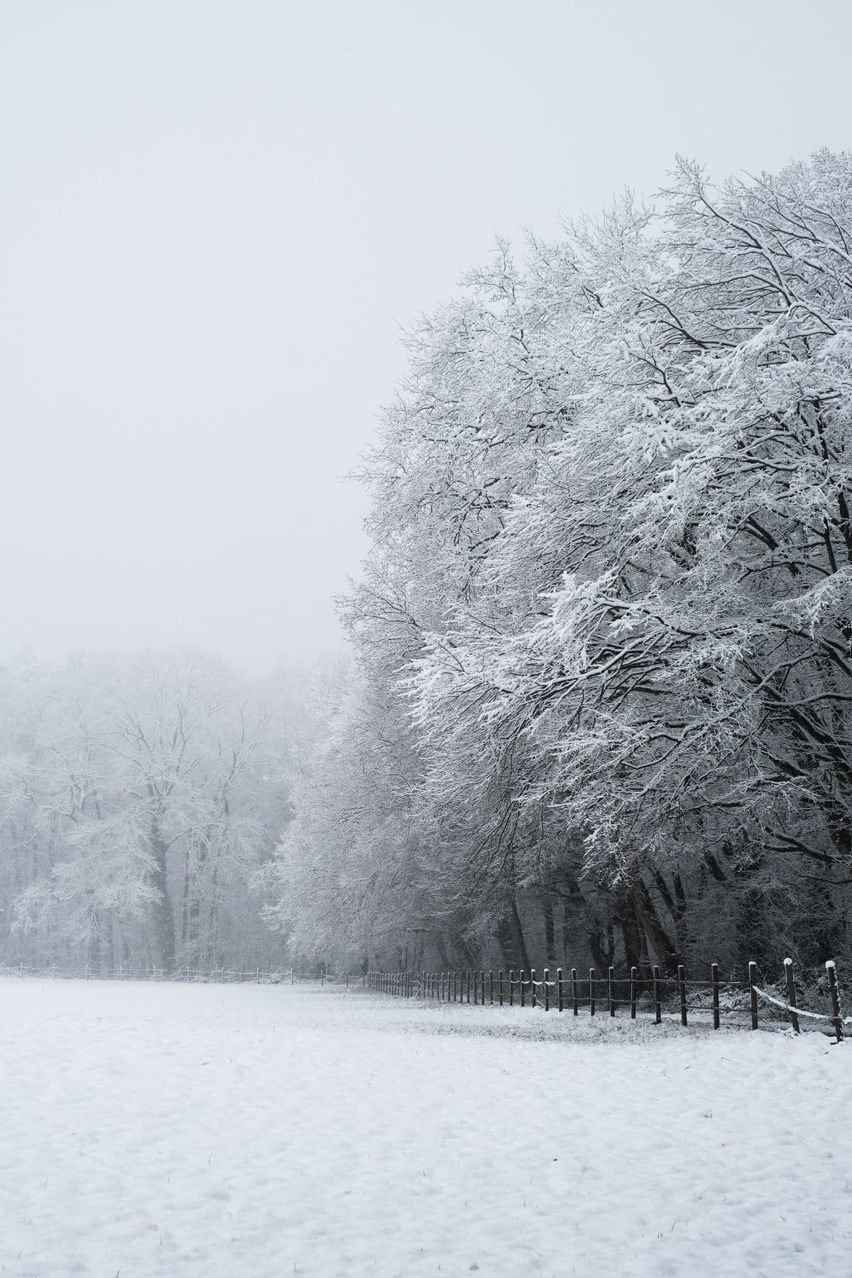Invierno
